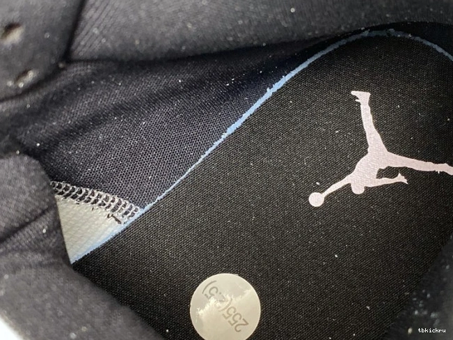 Reps TBkick Jordan Iridescent Air (W) BQ6472-602 Dirty Powder Mid 1 0711